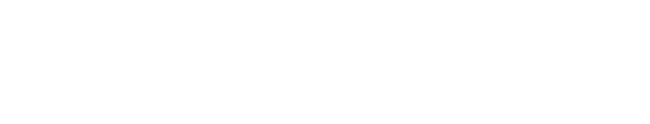 The 101